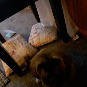 Meet your Posher, Barbara sylvain